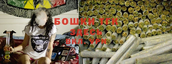 ешки Аркадак