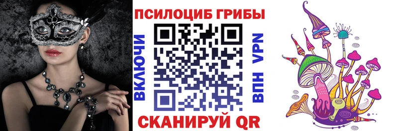 мориарти Telegram  Пролетарск  Псилоцибиновые грибы Psilocybe 
